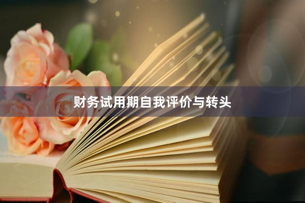 财务试用期自我评价与转头